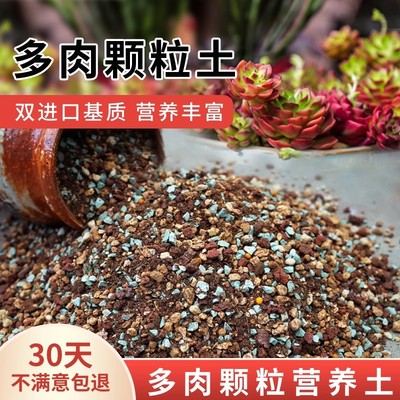 多肉专用颗粒土营养土壤种植多肉土养花通用型泥炭植物花土铺面石