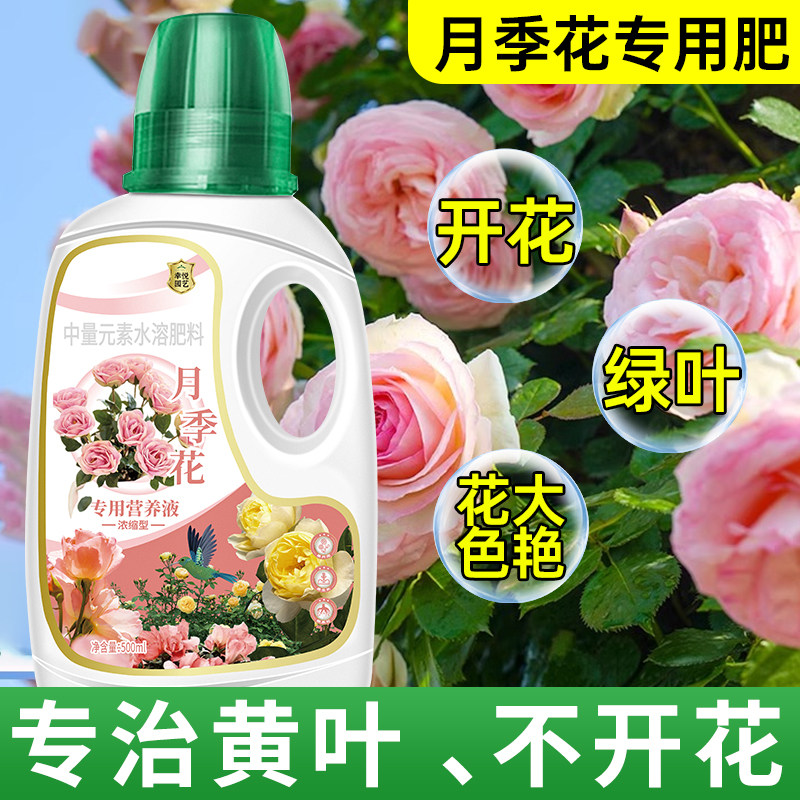 月季花专用营养液月季花肥料专用肥促花养花玫瑰花蔷薇花爆花肥料