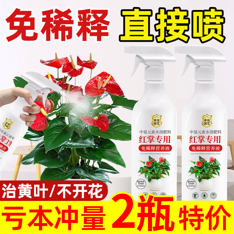 红掌专用营养液粉掌专用肥料开花肥水培叶面肥免稀释水溶液体肥