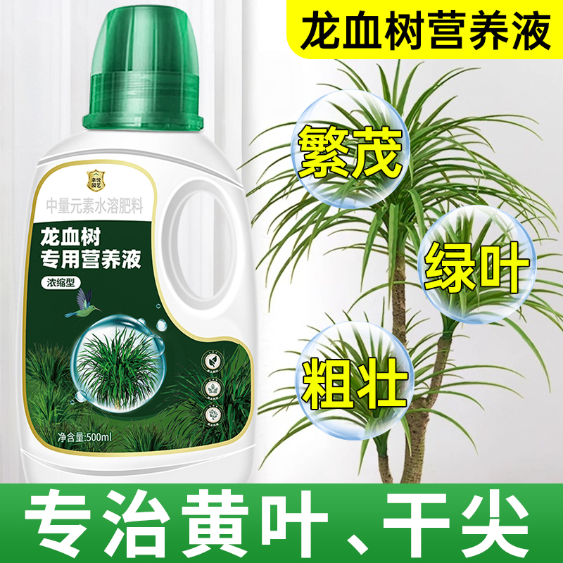 龙血树营养液龙须树专用肥料