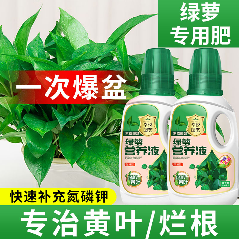 绿萝营养液通用型水养花植物水培绿萝营业液专用花肥料家用营养剂