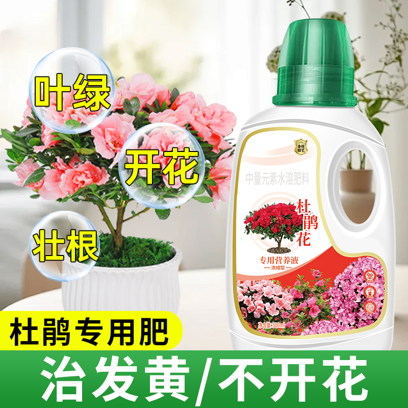 杜鹃花专用营养液肥料专用肥