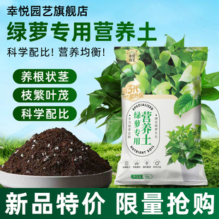 种养绿萝专用营养土养花种花通用土壤家用水培植物泥土盆栽花卉土