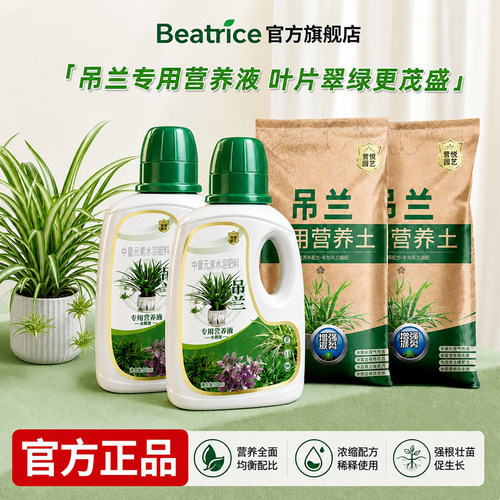 金边吊兰专用营养液花肥专用肥料