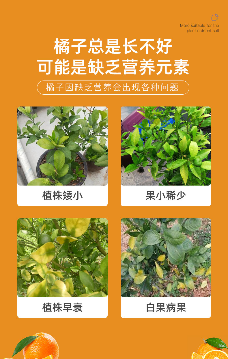 橘子树专用肥料金桔子树柑橘复合肥柠檬果树高钾肥保果增甜缓释肥