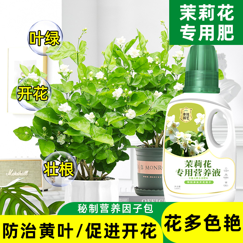 茉莉花专用营养液肥料专用肥