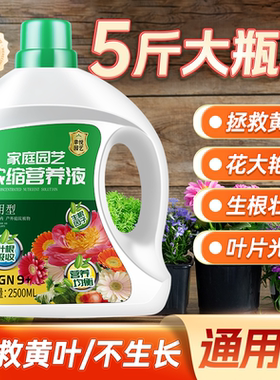 花草水培营养液植物通用型养花专用肥料花卉绿植室内花肥家用盆栽