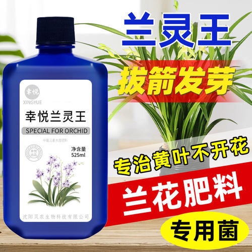 兰灵王兰花专用肥料蝴蝶兰营养液