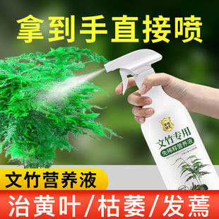 文竹营养液治黄叶花肥云竹专用肥料云松水培盆栽免稀释液体肥养护