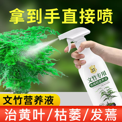 文竹营养液治黄叶花肥云竹专用肥料云松水培盆栽免稀释液体肥养护