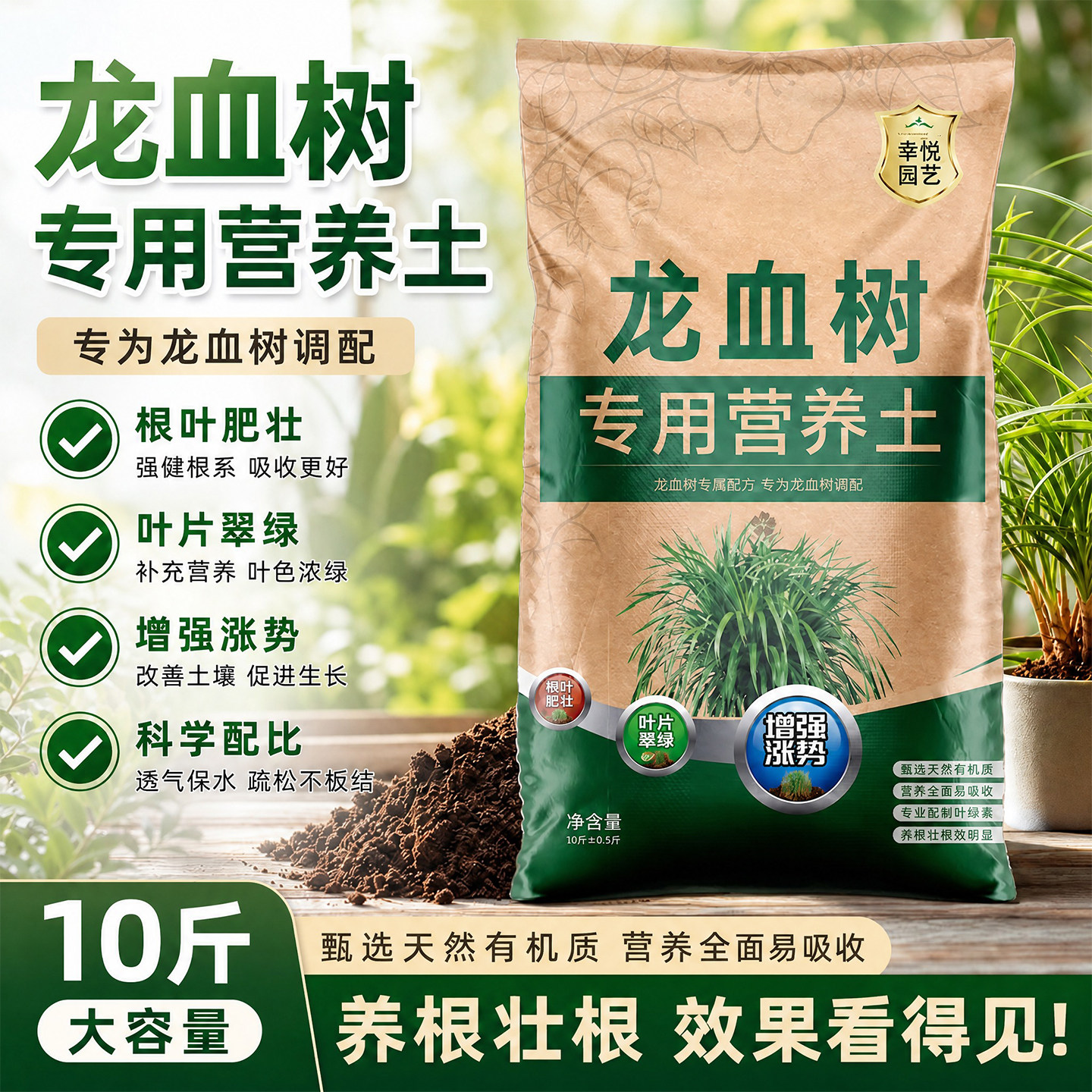 龙血树专用土种龙须树营养土肥料图片