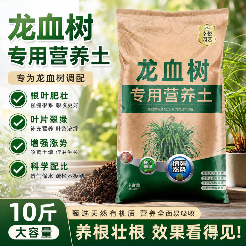 龙血树专用土种龙须树营养土肥料