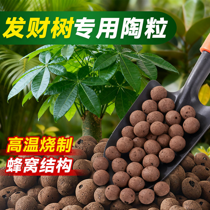 陶粒垫底养花专用发财树排水透气图片