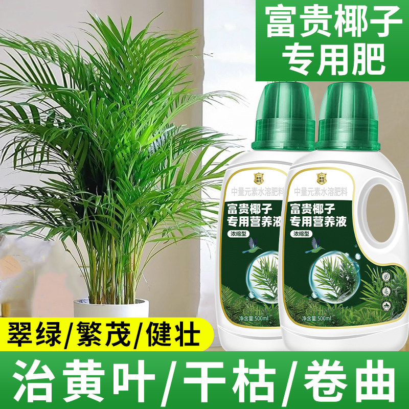 富贵椰子营养液袖珍椰子夏威夷椰子璎珞椰子专用肥料治黄叶干枯,鲜花速递/花卉仿真/绿植园艺,家庭园艺肥料,淘宝优惠券,粉丝福利购,淘宝优惠卷