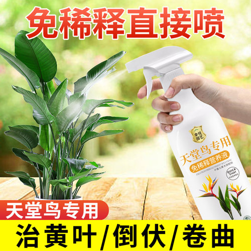 天堂鸟营养液花肥黄叶卷边鹤望兰专用肥料急救大型绿植营养水喷剂