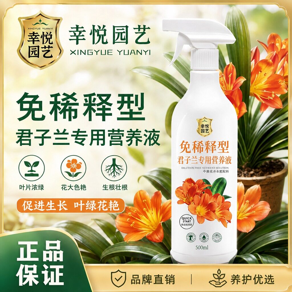 君子兰专用营养液促箭拔箭促开花专用肥料叶面肥免稀释液水溶体肥