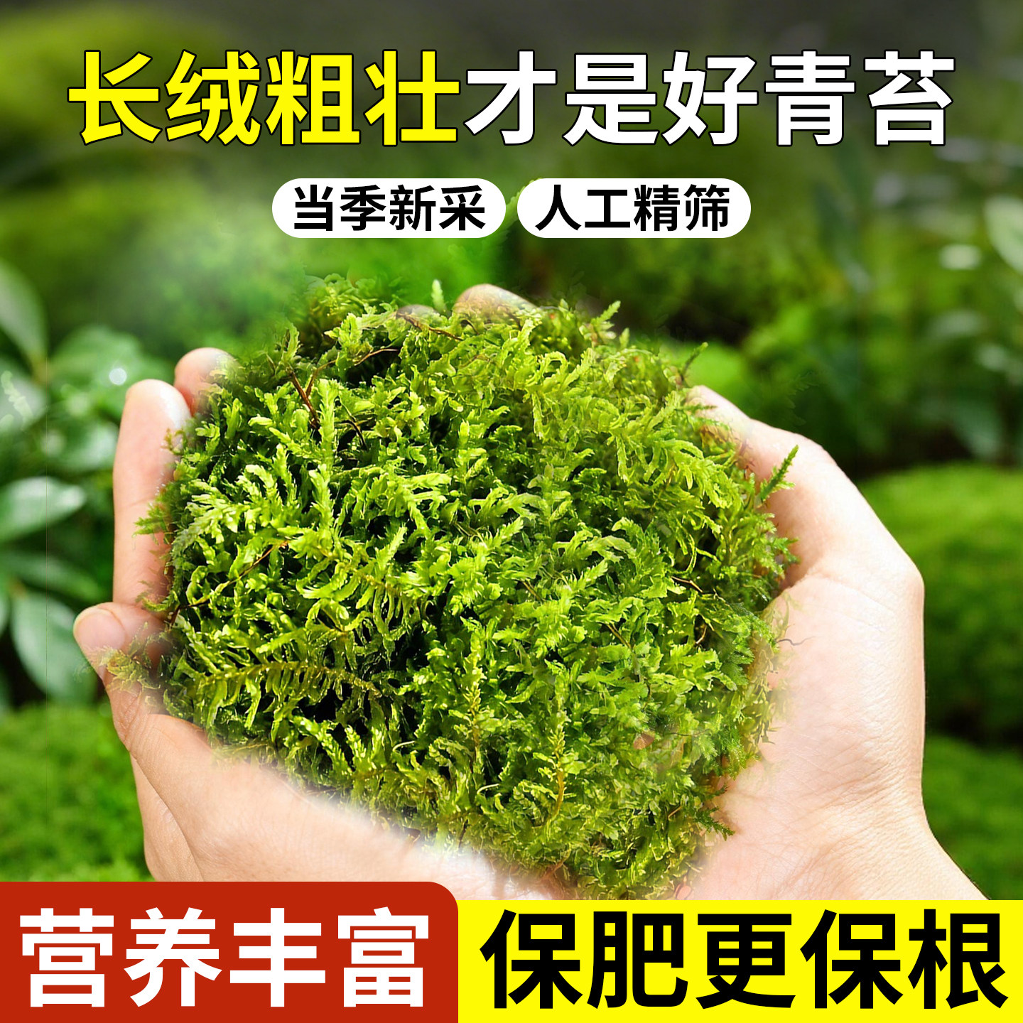 干苔藓水苔纯天然青苔兰花蝴蝶兰石斛种植专用营养土爬宠乌龟垫材图片