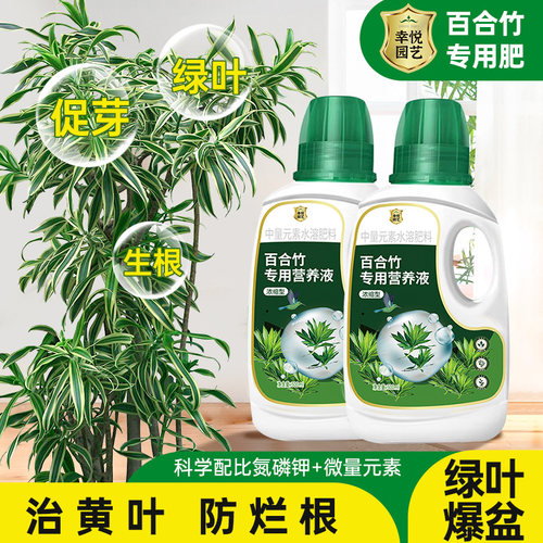 百合竹营养液金边百合竹专用肥料