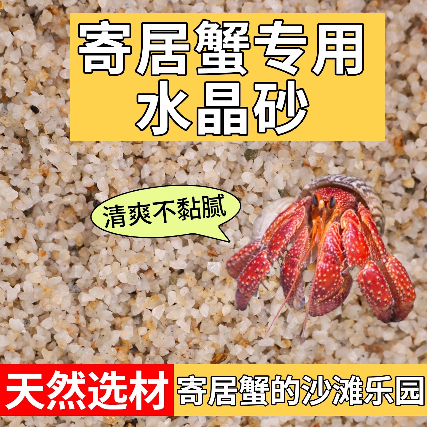 寄居蟹专用水晶砂天然砂造景装饰乌龟多肉铺面爬宠垫材通用水晶砂
