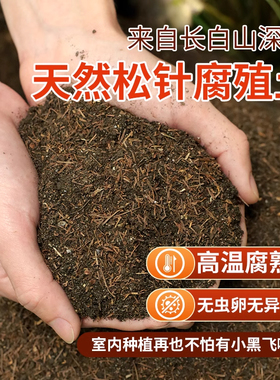 松针腐殖土天然腐叶腐熟纯君子兰花多肉泥炭营养土养花通用专用土