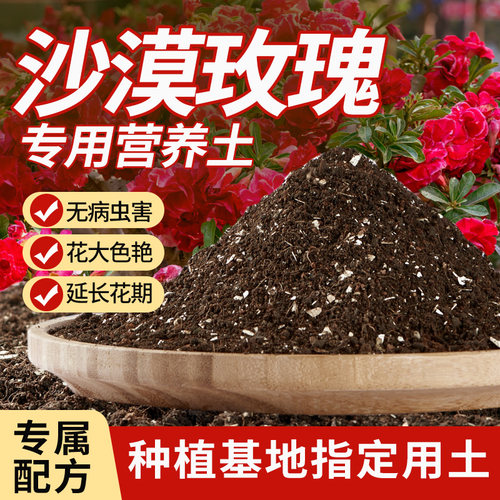 沙漠玫瑰专用土花土种养沙漠玫瑰营养土盆栽土壤种植土专用肥