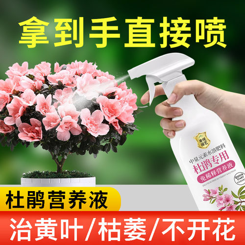 杜鹃花专用营养液花肥杜鹃花肥料专用肥黄叶盆栽映山红促花肥