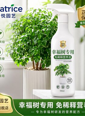 幸福树专用营养液落叶干枯掉叶子专用肥料叶面肥免稀释水溶液体肥
