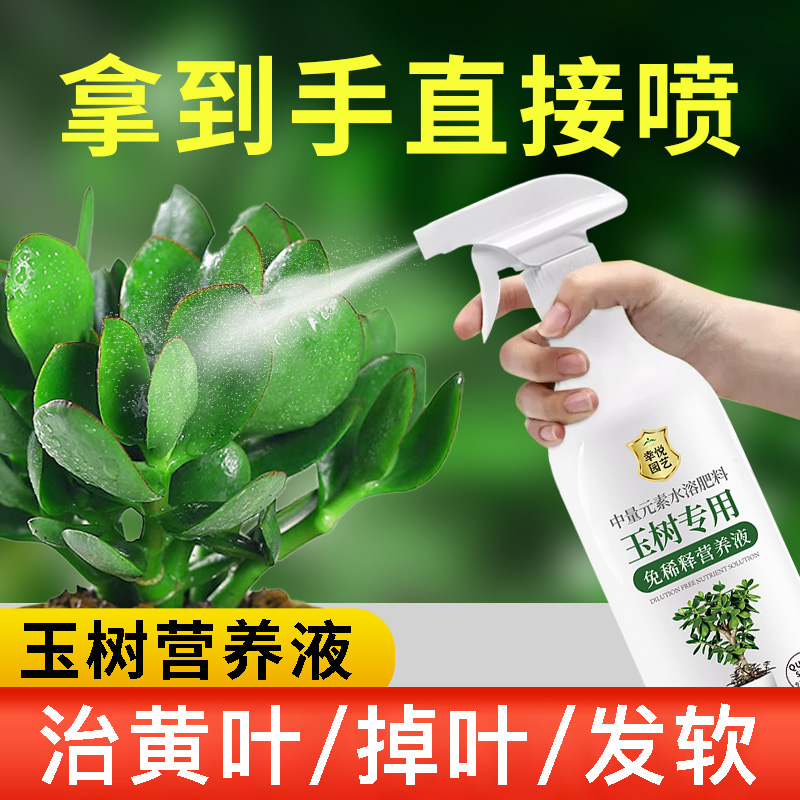 玉树营养液治黄叶老桩玉树专用肥料免稀释液体肥叶面肥盆栽