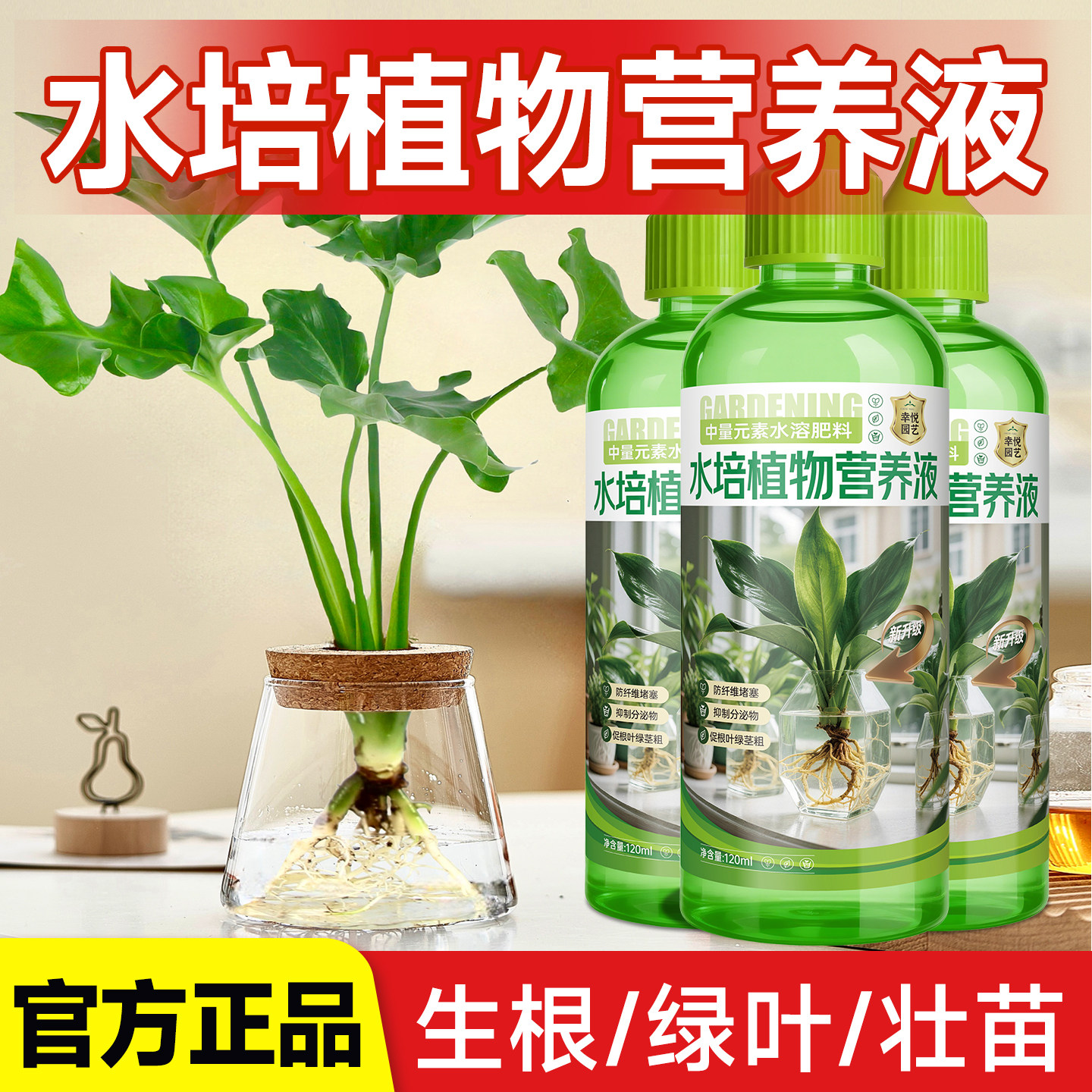 水培植物专用营养液防黄叶富贵竹龟背竹巴西木郁金香绿萝通用肥料图片