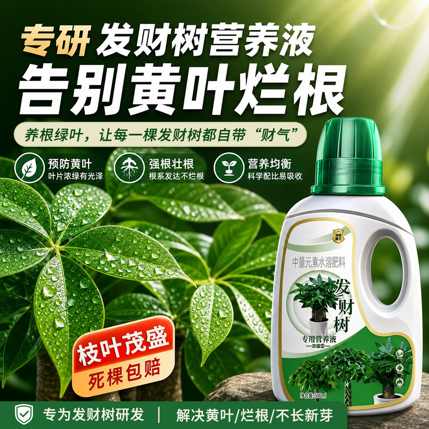 发财树营养液肥料专用肥治叶子发黄掉叶养根室内盆栽植物花肥通用