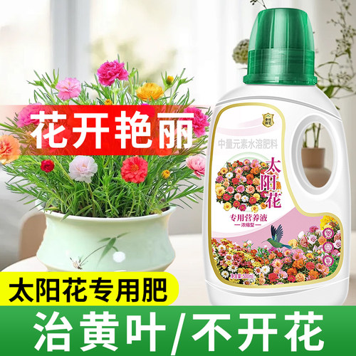 太阳花专用营养液花开爆盆