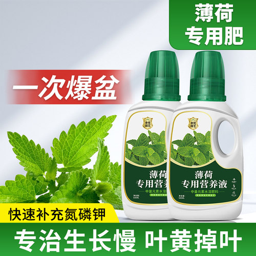 薄荷专用营养液肥料枝繁叶茂