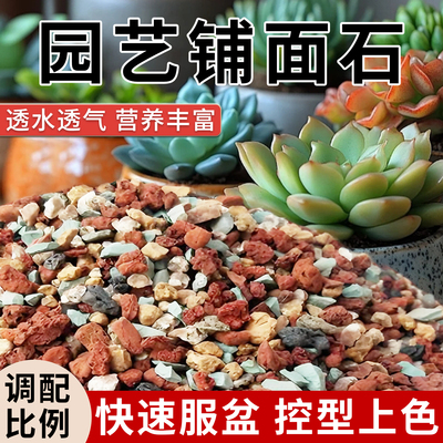 彩虹石多肉绿沸石麦饭石铺面石