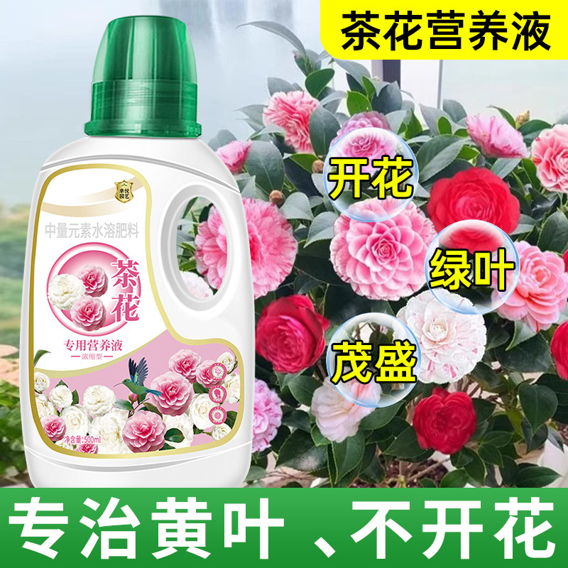 茶花专用营养液山茶花肥料专用肥催花开花液体肥酸性植物营养液,鲜花速递/花卉仿真/绿植园艺,介质/营养土,淘宝优惠券,粉丝福利购,淘宝优惠卷