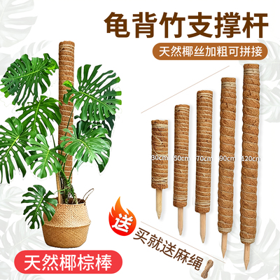 龟背竹花架攀爬支撑杆