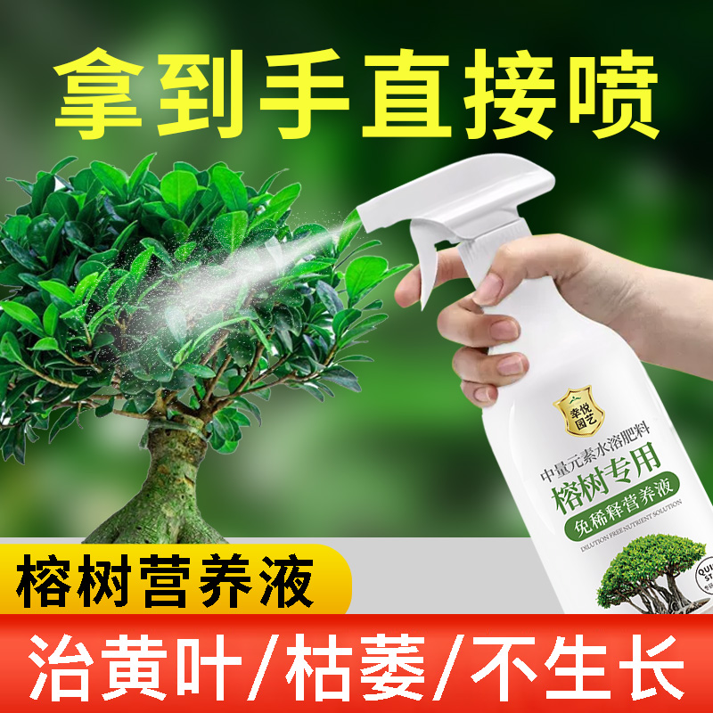 榕树营养液黄叶掉叶不长叶黄金榕人参榕小叶榕树盆景专用肥料