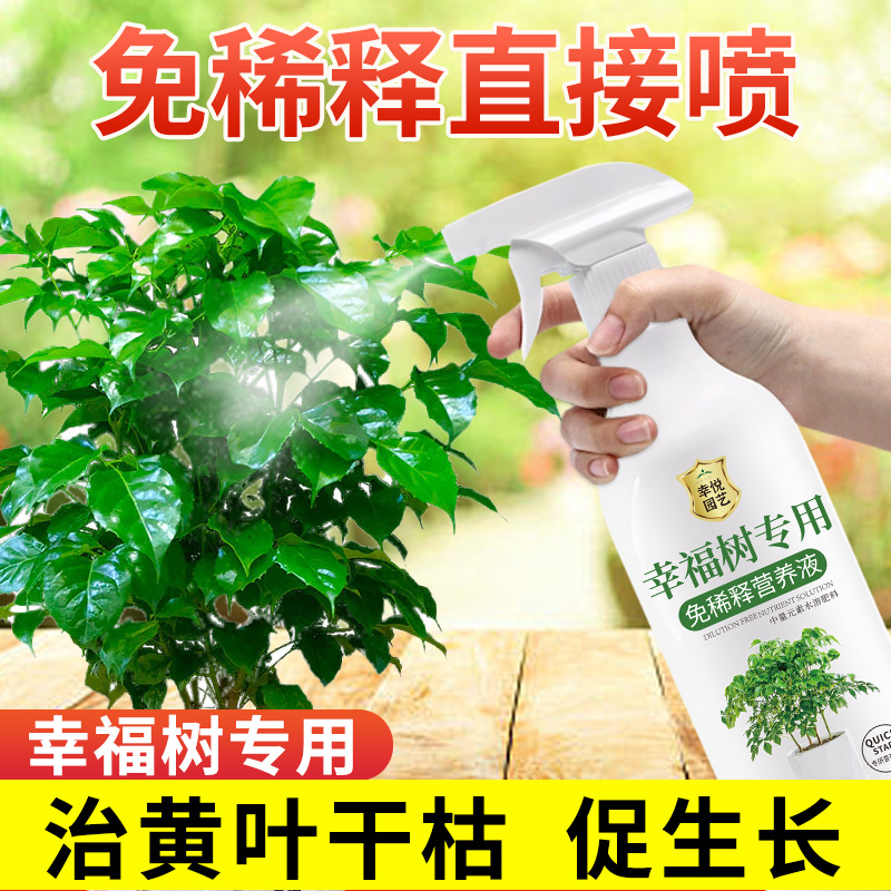 幸福树免稀释营养液直喷即用