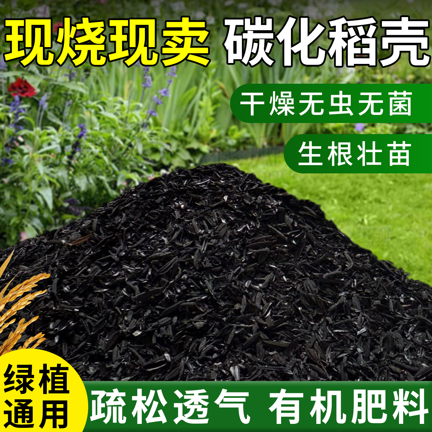 天然纯正稻壳碳养花种菜都用它