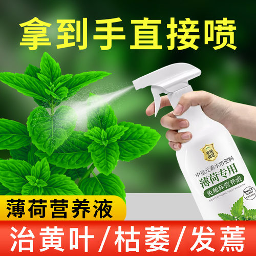 薄荷营养液花肥水培薄荷肥料专用肥有机肥盆栽液体肥叶面肥