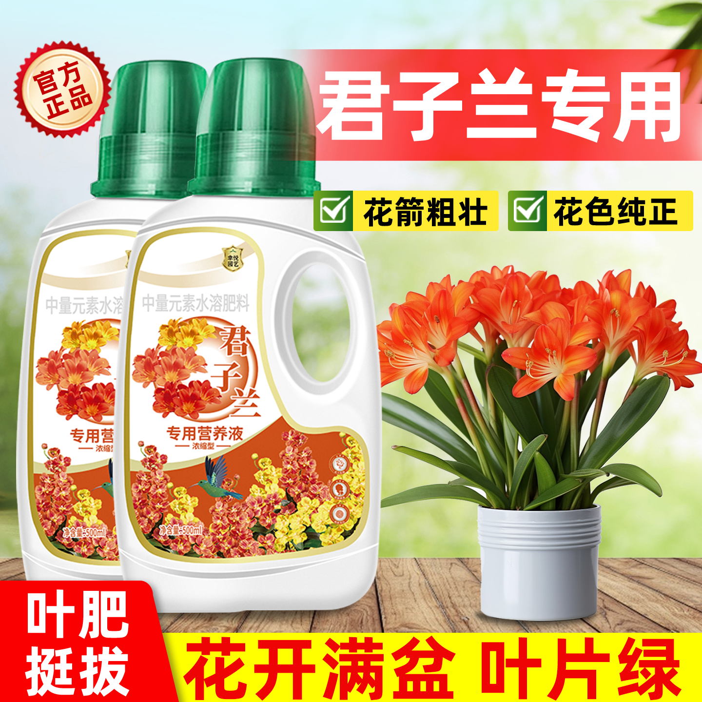 君子兰专用肥植物营养液兰花有机肥料兰科花卉盆栽促开花催花通用