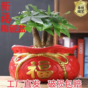 新春吉利陶瓷花盆红色大号特大号绿萝家用花盆多肉花盆室内陶瓷盆