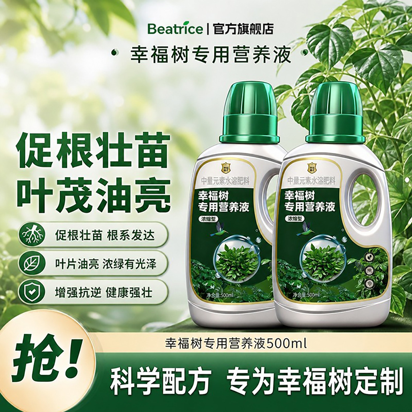 幸福树专用营养液肥料急救治黄叶落叶黑斑防掉叶干枯花肥盆栽液体
