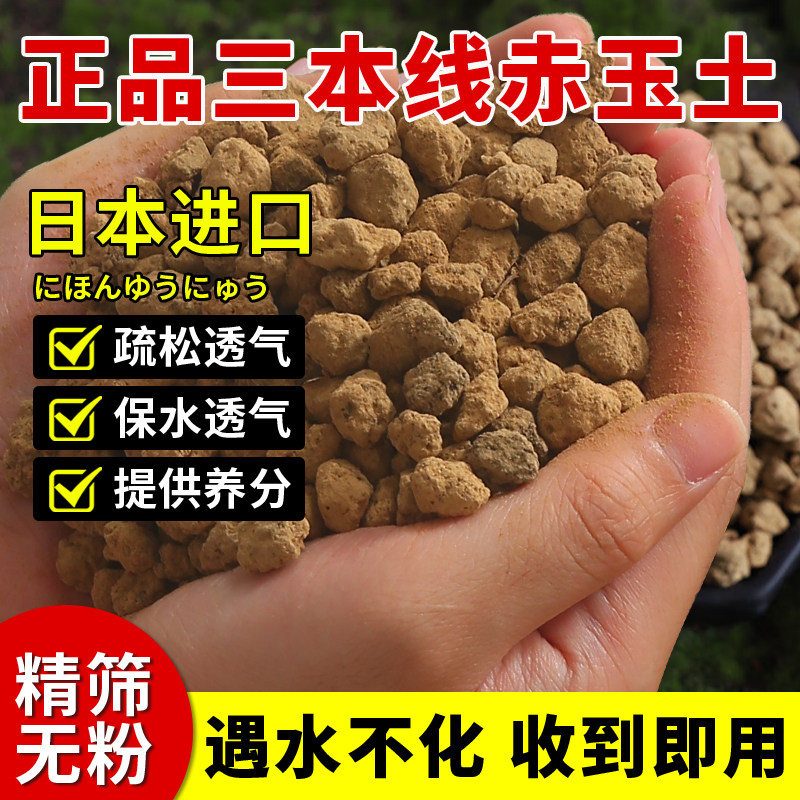 进口优质赤玉土植物铺面石图片