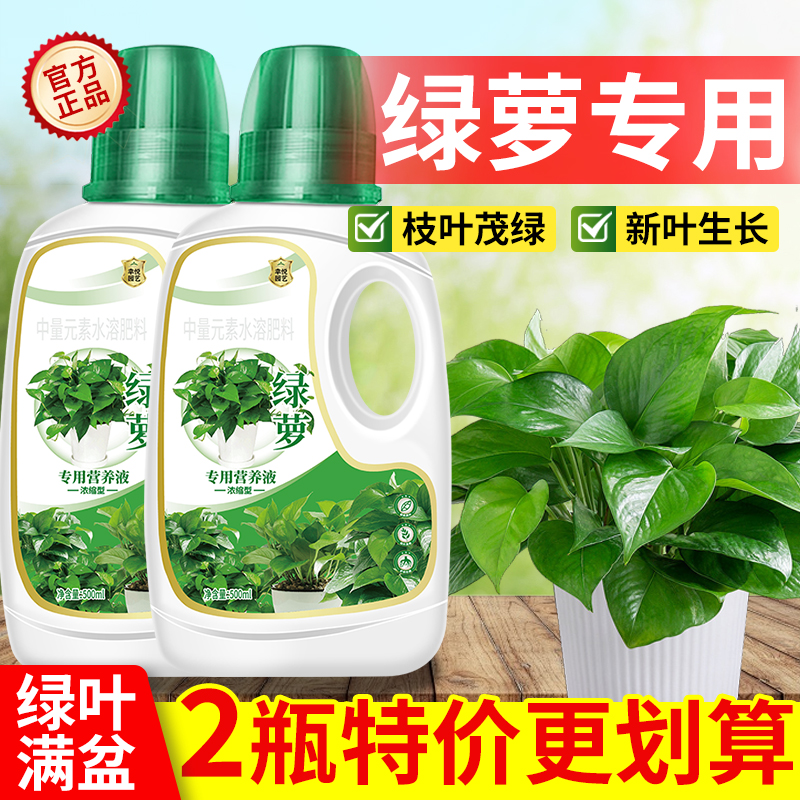 绿萝营养液专用肥料防治黄叶烂根