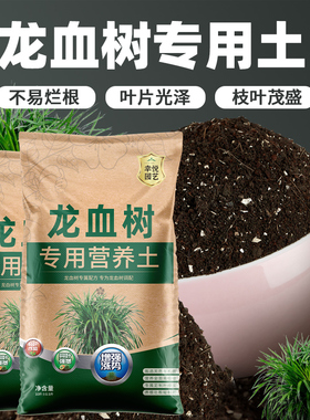 栽种龙血树专用土种龙须树营养土蓬松泥土无菌土壤专用肥料种植土