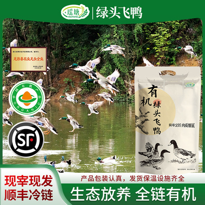 4年有机认证老母鸭活体土鸭现杀鸭子飞鸭绿头鸭散养鸭放养鸭
