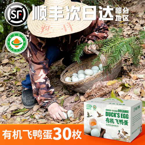 有机鲜鸭蛋散养新鲜鸭蛋农家散养放养