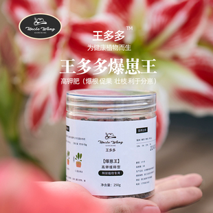 种花王大爷 王多多爆崽王有机质碳长效营养家用盆栽园艺土壤肥料