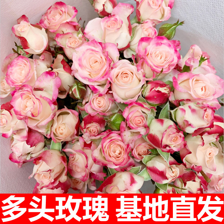 多头玫瑰泡泡云南昆明鲜花花束基地直发速递同城生日花折射妇女节