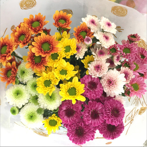 鲜花小雏菊云南基地直发祝福友情